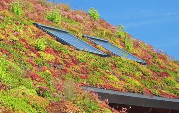 Chalkway living roof systems