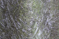 Chalkway fibreglass roof work